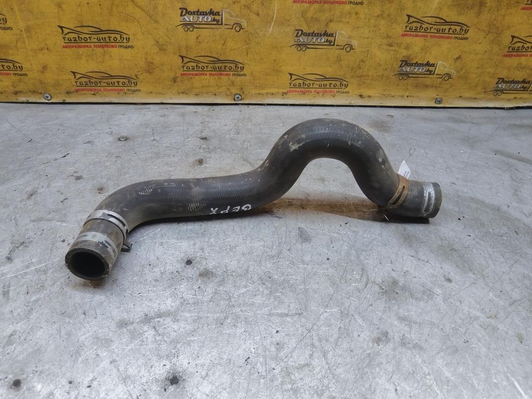 Патрубок радиатора NO4VZF Peugeot 406 - Фото 4