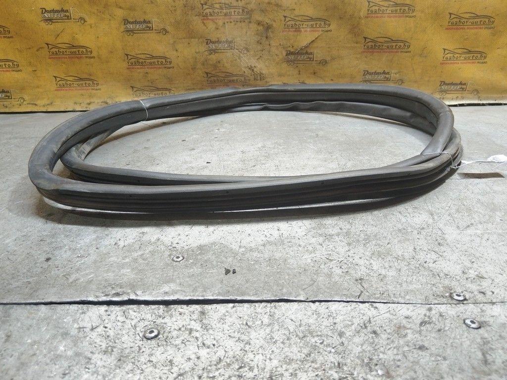 Уплотнитель двери задней правой WZ9784 Honda FR-V - Фото 4