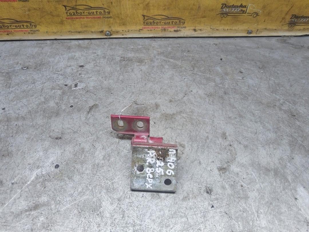 Петля двери передней правой OLKJNN Peugeot 406 купить в магазине запчастей бу