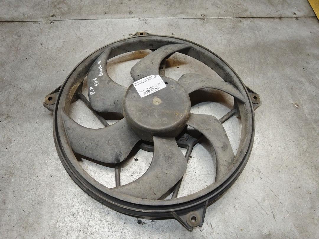 Вентилятор радиатора TDLYJL Peugeot Partner