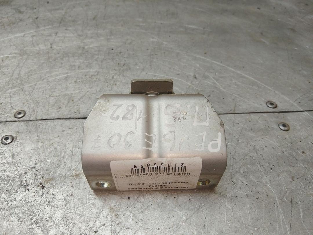 Петля крышки багажника 65HZTJ Peugeot 307