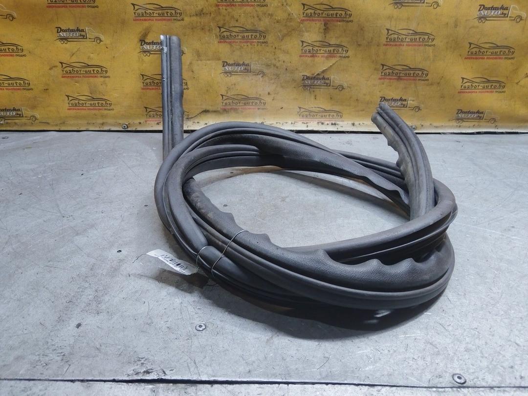 Уплотнитель двери задней правой 2VU4HR Renault Scenic купить на авторазборке