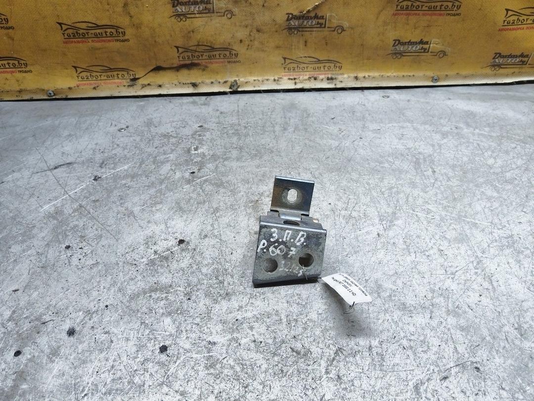 Петля двери задней правой ONP4MV Peugeot 607 купить с доставкой