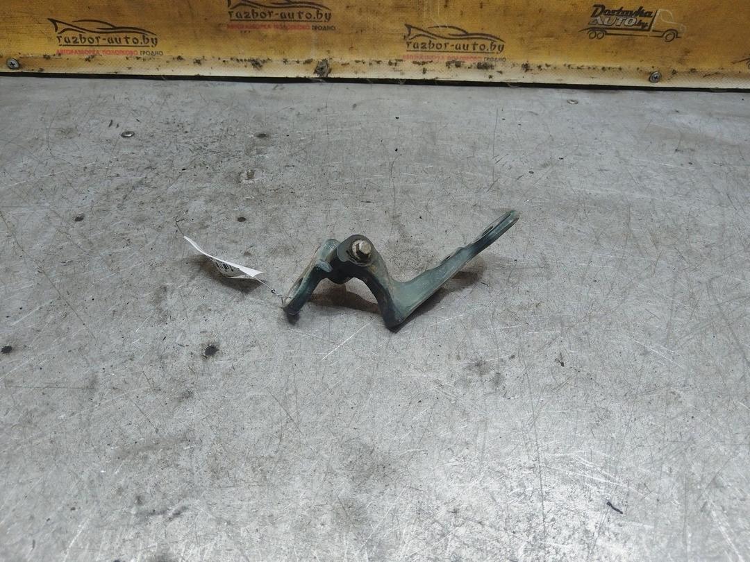 Петля двери передней правой 3QTSC1 Ford C-Max купить с доставкой