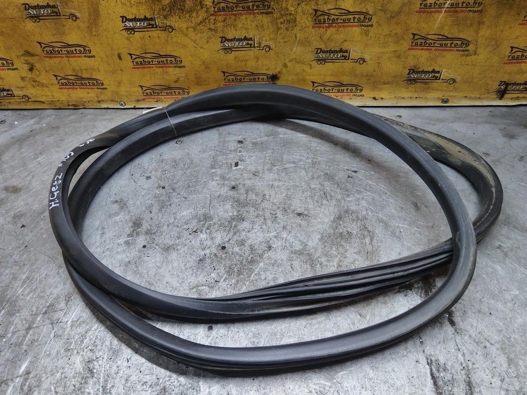 Уплотнитель двери задней левой 1X81GJ Hyundai Getz - Фото 2