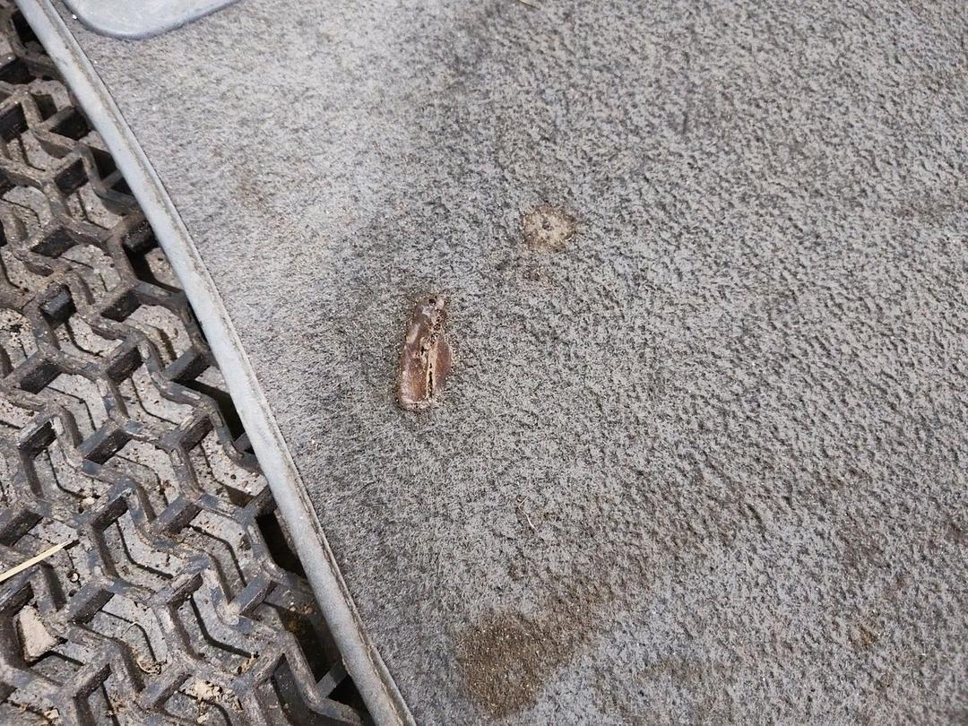 Пол багажника BW6IO7 Peugeot 406 - Фото 2