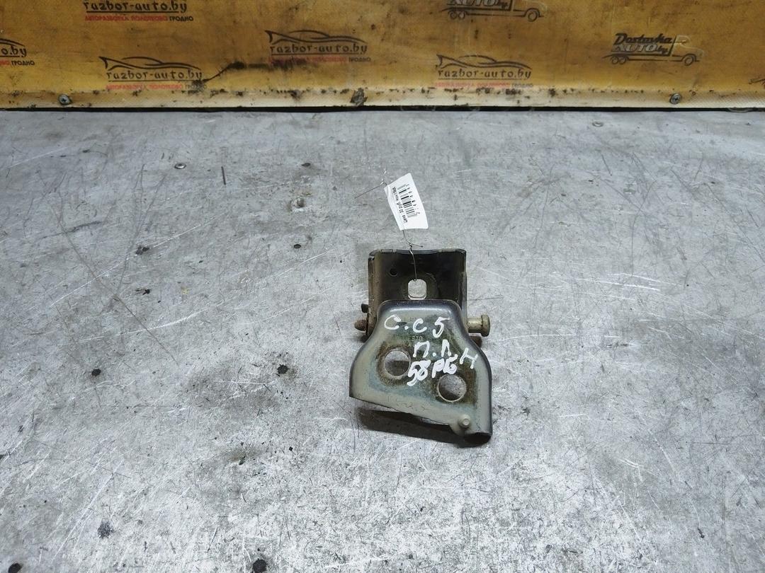 Петля двери передней левой QN50JO Citroen C5 купить