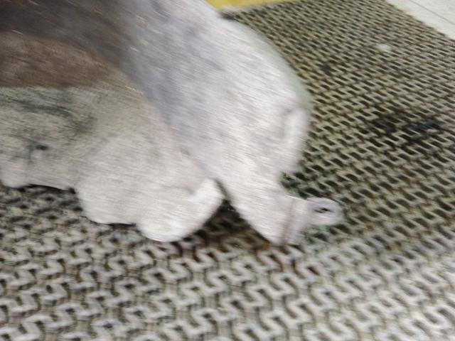 Защита арок задняя правая (подкрылок) 4GCRJZ Toyota Corolla купить на авторазборке