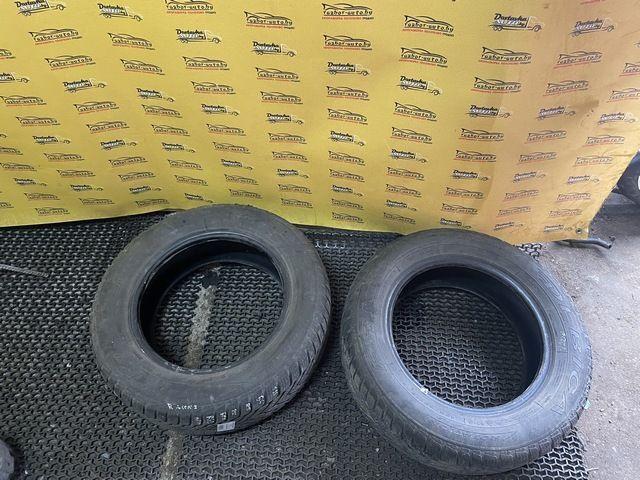 Шина Debica 195/65 R15 41NMXW 41NMXW Debica купить с доставкой