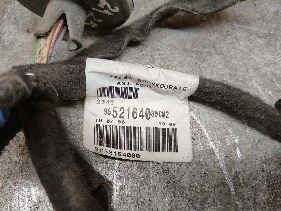 Проводка двери задней левой 41L84F Citroen C3 купить с доставкой