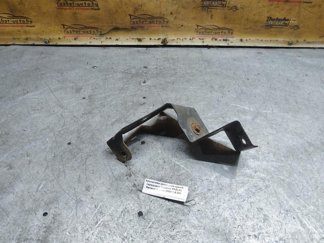Кронштейн крепления крыла переднего правого PK8LKL Renault Scenic купить
