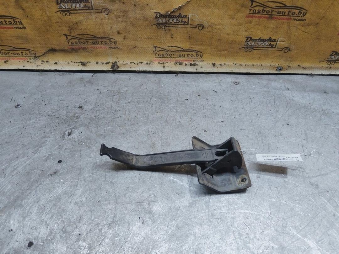 Ручка открывания капота Z1NOTN Renault Scenic купить