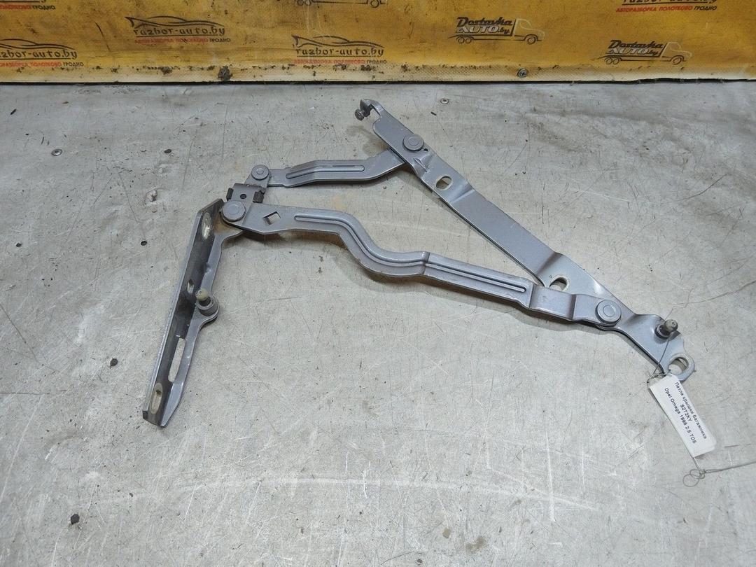 Петля крышки багажника S2T2KY Opel Omega