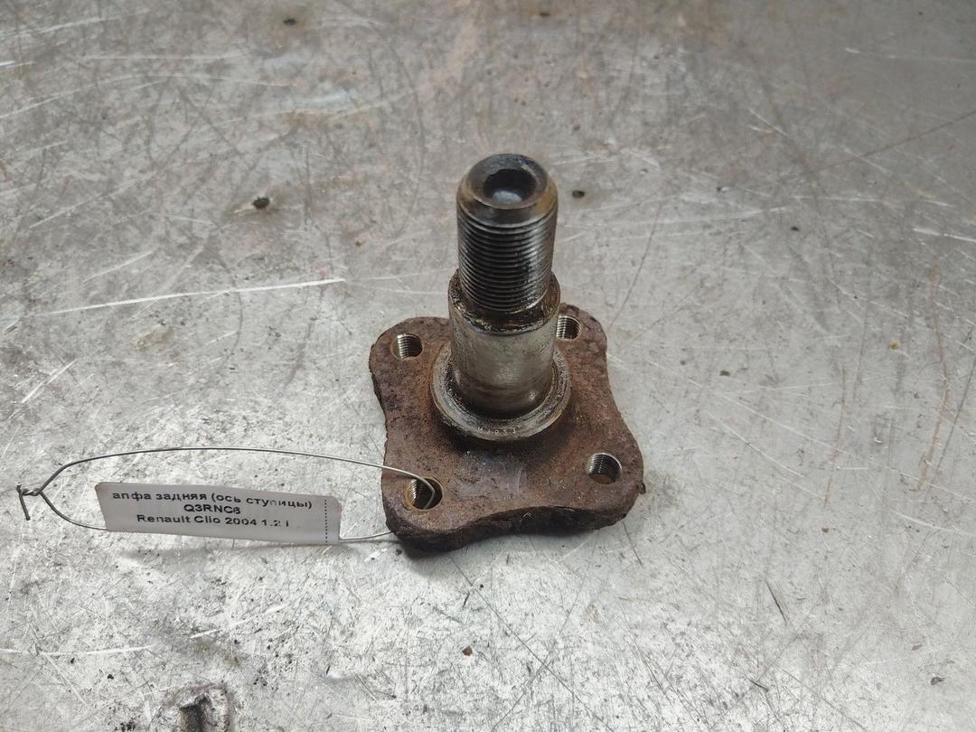 Цапфа задняя (ось ступицы) Q3RNC6 Renault Clio