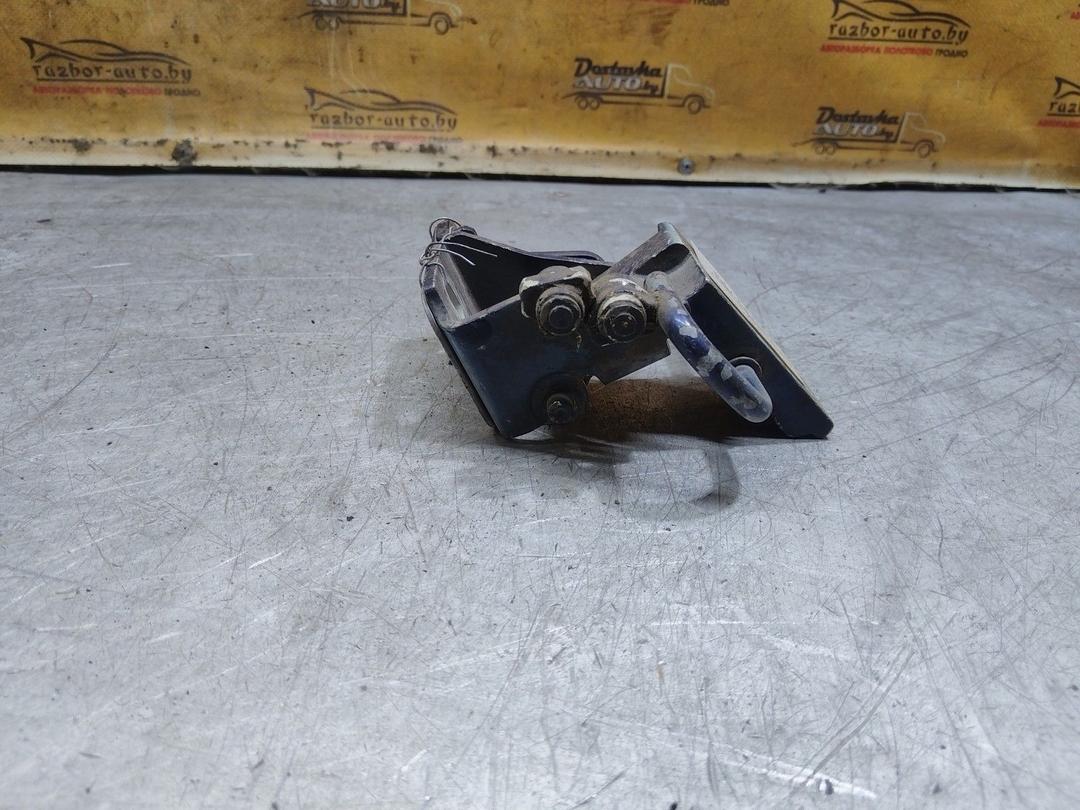 Петля двери задней левой NMJ34W Volkswagen Passat