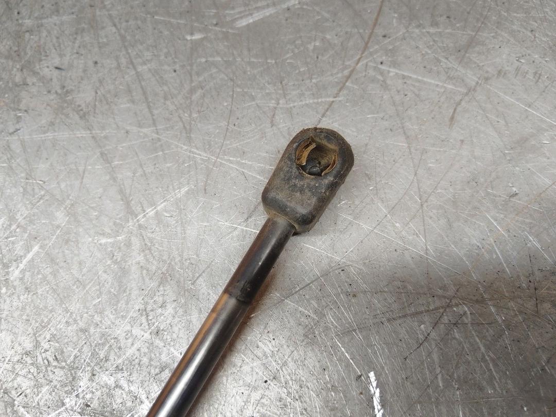 Амортизатор крышки багажника (3-5 двери) 2Y4SPA Ford Focus купить