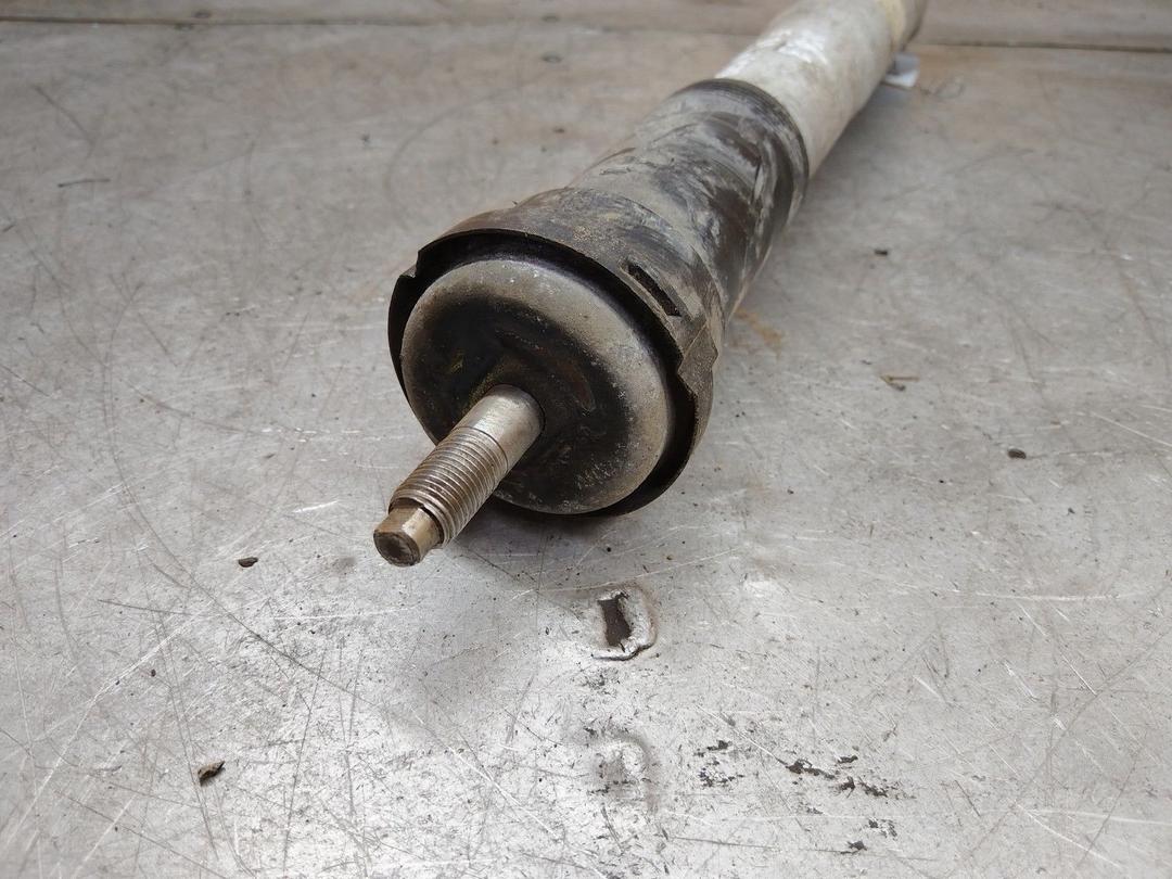 Амортизатор задний левый CJXDJ5 BMW 5 E39 купить на авторазборке