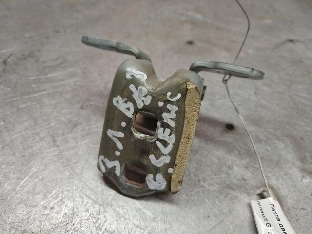 Петля двери задней левой 9YFLZH Renault Grand Scenic