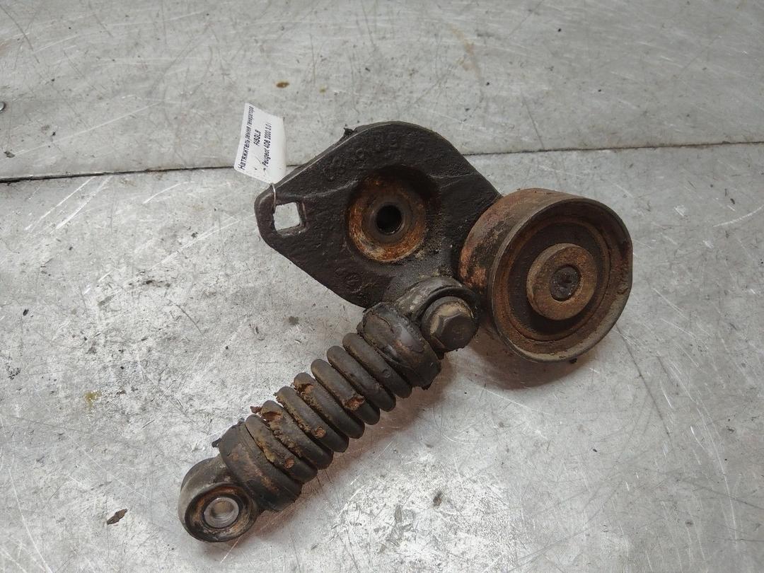 Натяжитель ремня генератора F4SGL8 Peugeot 406 - Фото 1