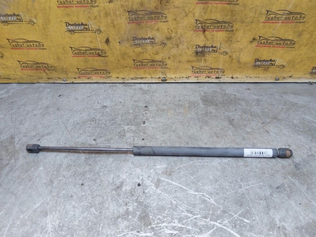 Амортизатор крышки багажника (3-5 двери) WLV09L Peugeot 406 купить с доставкой