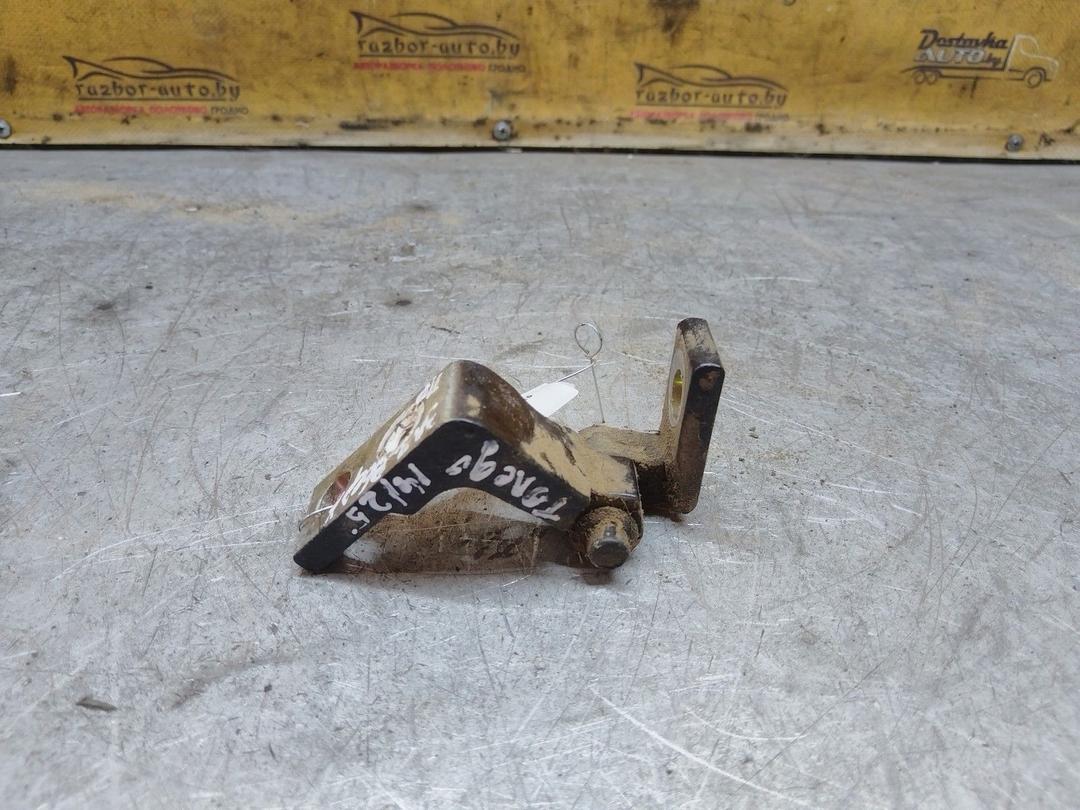 Петля двери задней правой 1XTYG4 Seat Toledo купить с доставкой