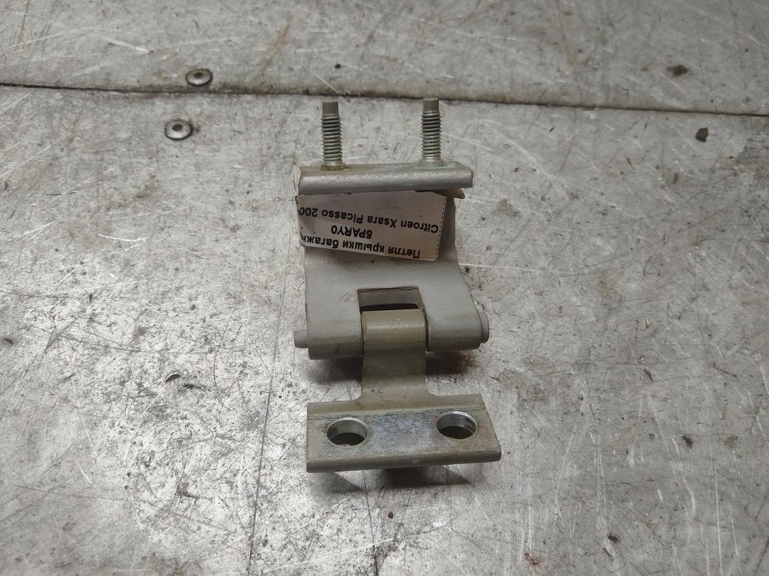 Петля крышки багажника 5PARY0 Citroen Xsara Picasso купить