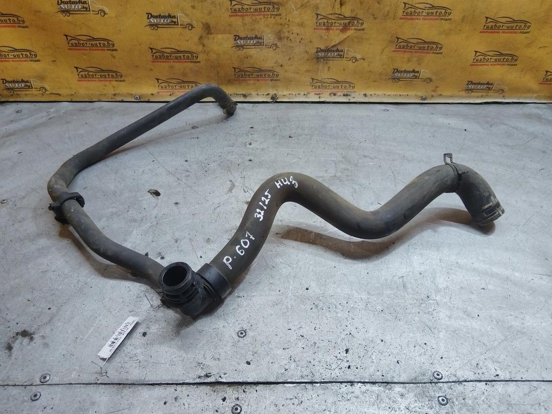 Патрубок радиатора H6H28G Peugeot 607 купить с доставкой