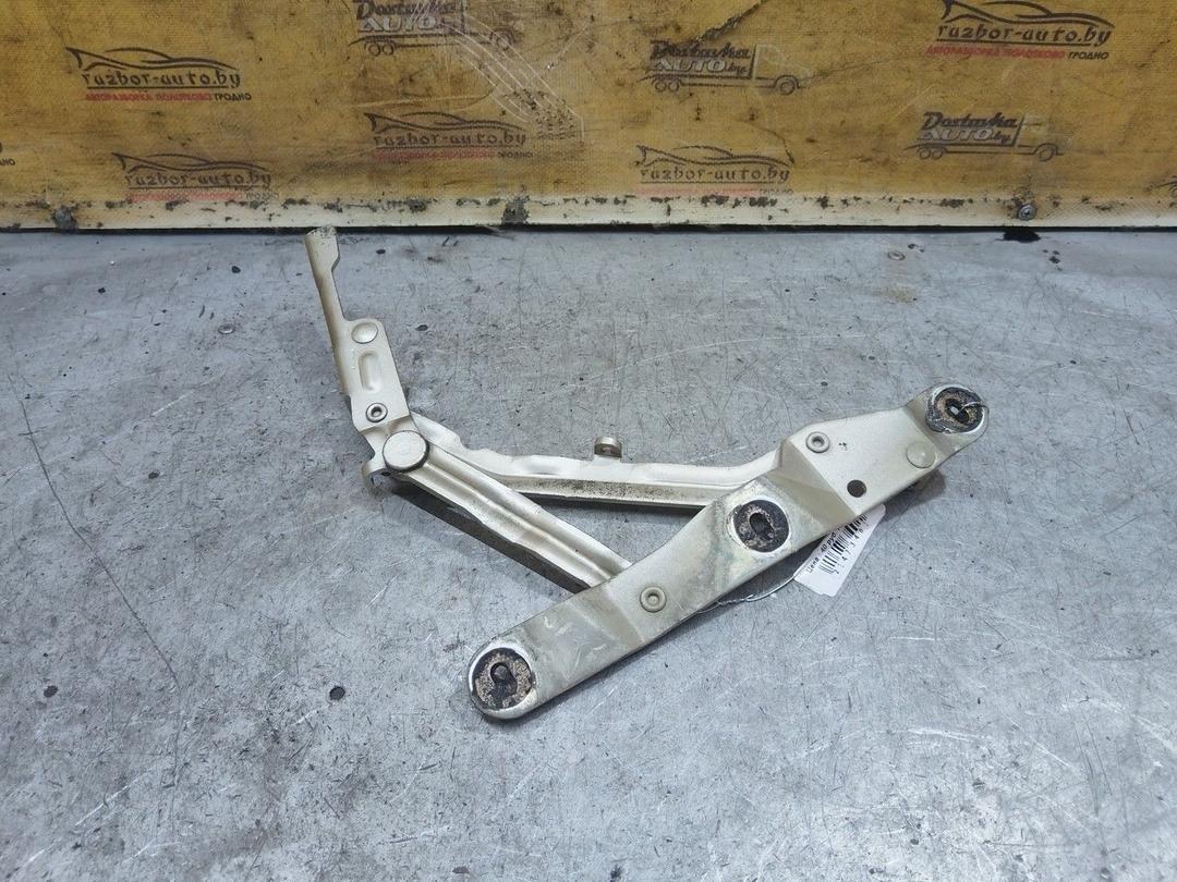 Петля крышки багажника 10IC6J Fiat Linea - Фото 5