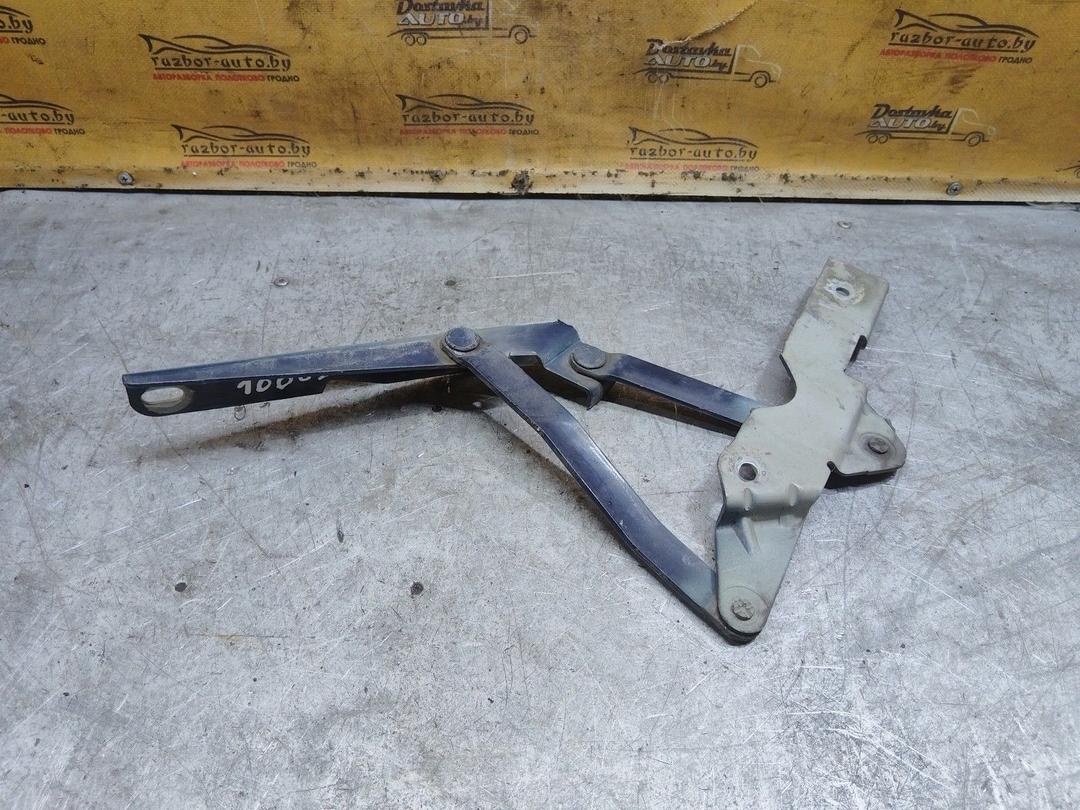 Петля капота левая D92IQ7 Audi 100 купить с доставкой