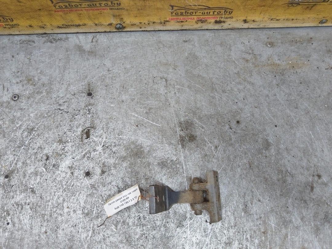 Петля двери задней левой 418KRP Audi 100 купить с доставкой