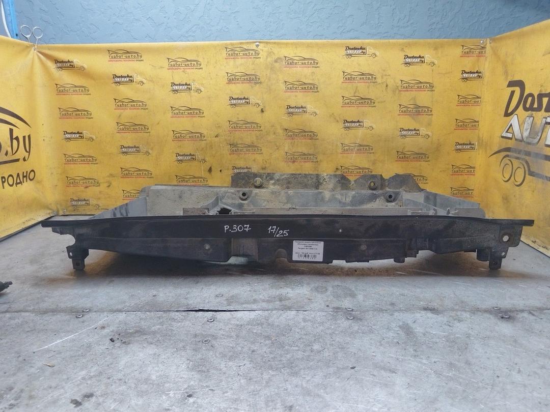 Передняя панель крепления облицовки (телевизор) WSPO50 Peugeot 307 купить на авторазборке