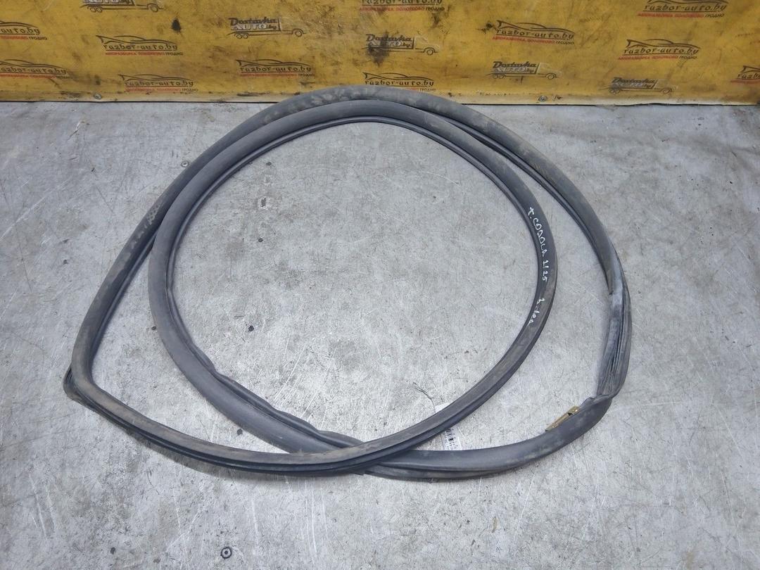 Уплотнитель двери задней левой NSIFJ4 Toyota Corolla купить с доставкой