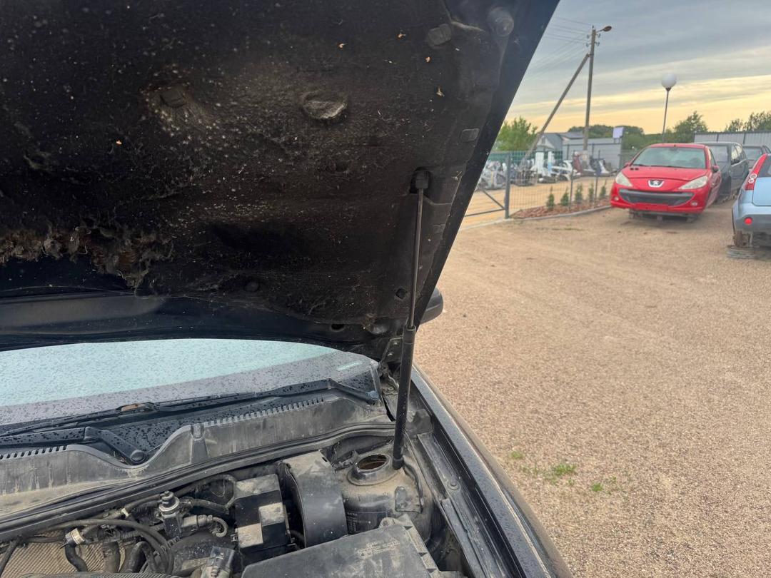 Амортизатор капота QANY1C Seat Toledo купить