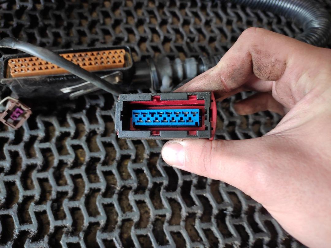 Проводка двигателя RX77T3 Peugeot 406 купить с доставкой