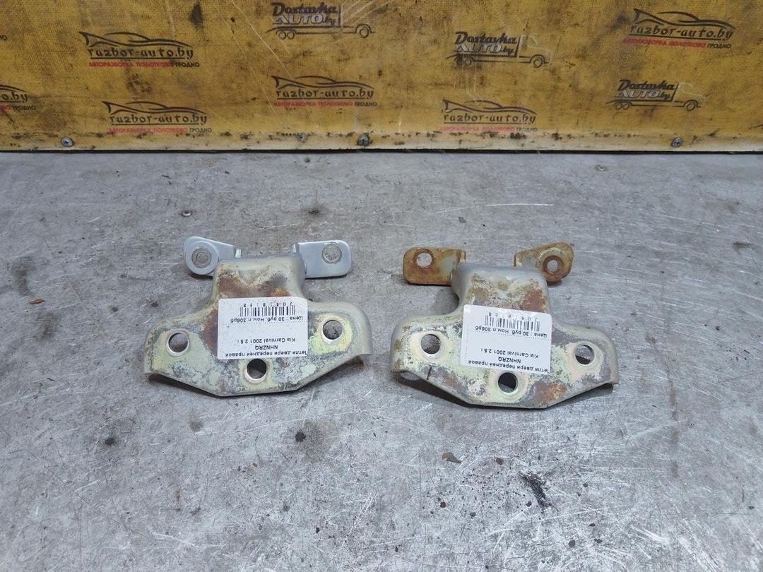 Петля двери передней правой NHNZRQ Kia Carnival