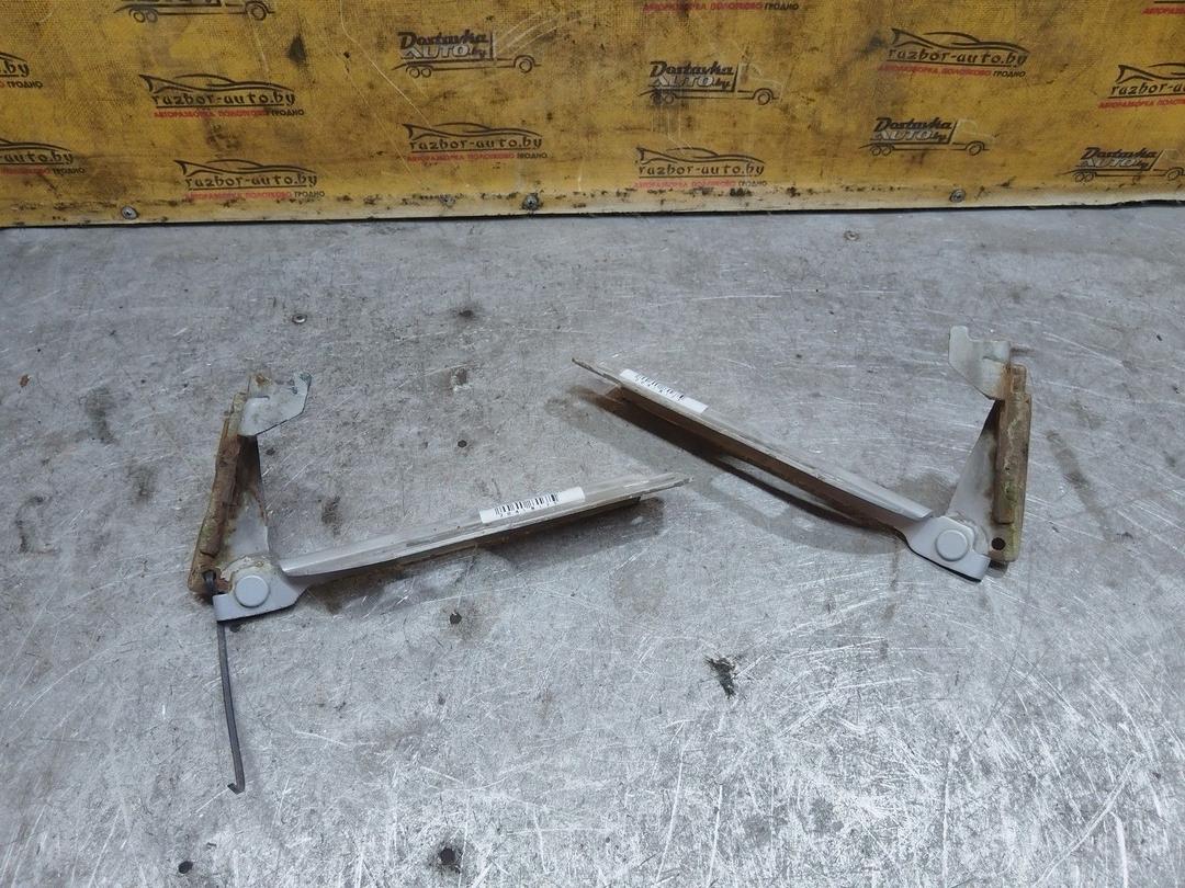 Петля капота TAB6ZS Kia Carnival купить