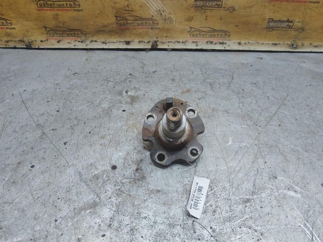 Цапфа задняя (ось ступицы) 8JRBWT Volkswagen Golf - Фото 1