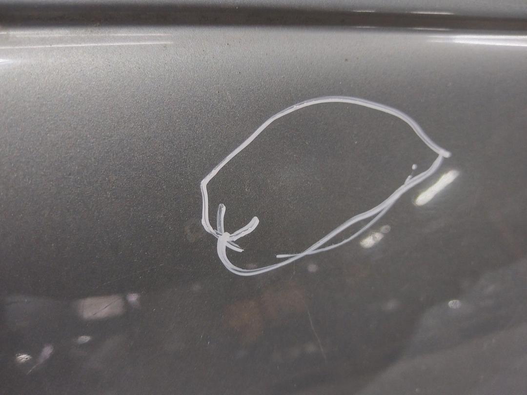 Дверь передняя правая S5XO27 Renault Megane - Фото 6