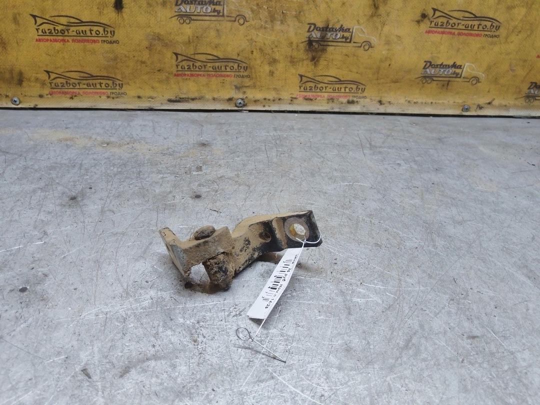 Петля двери задней правой 1XTYG4 Seat Toledo купить с доставкой