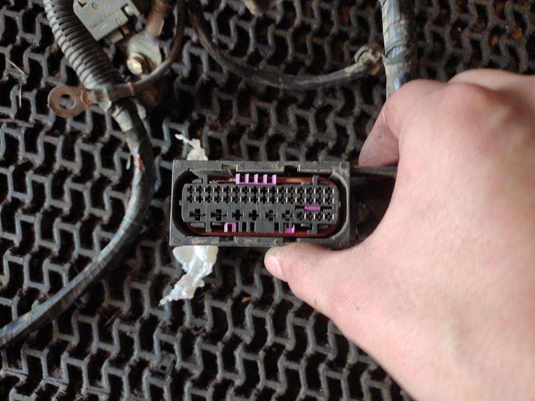 Проводка двигателя SD5ON5 Renault Scenic купить с доставкой