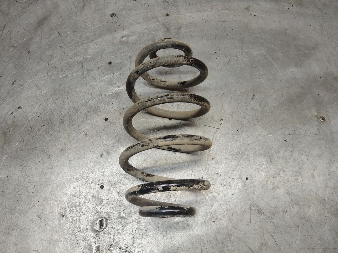 Пружина задняя TPWVV4 Volkswagen Passat - Фото 1