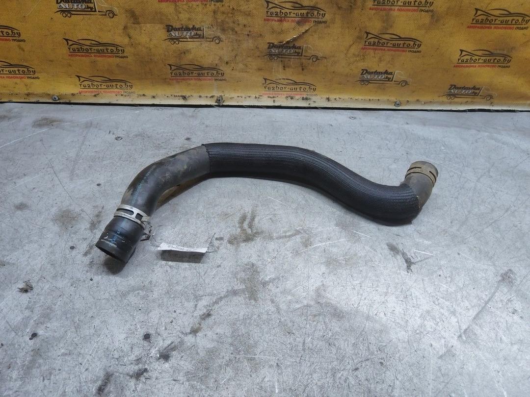 Патрубок радиатора 2JXGL8 Citroen Xsara Picasso - Фото 3