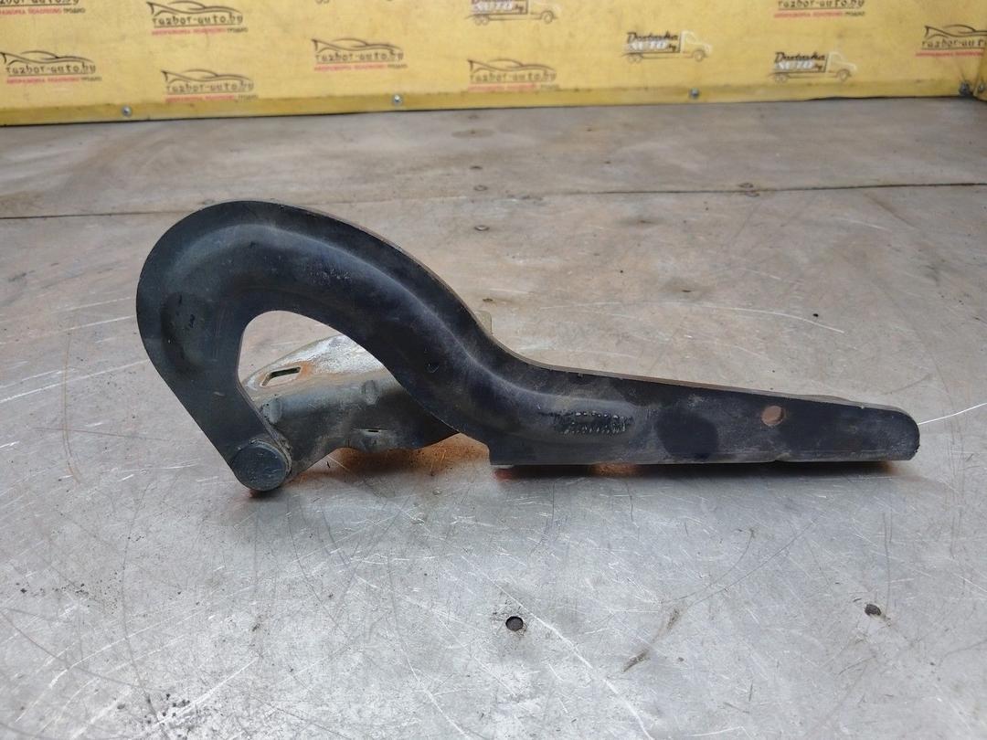 Петля капота TD62EW Renault Scenic купить с доставкой