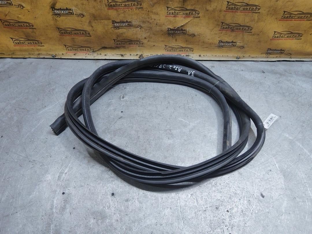 Уплотнитель двери задней левой ZXGZZ8 Renault Scenic купить в магазине запчастей бу