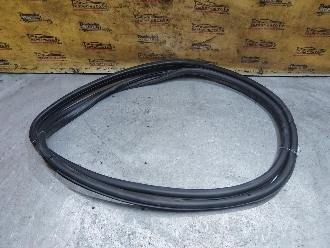 Уплотнитель двери передней левой Z6RN11 Citroen Xsara Picasso - Фото 3