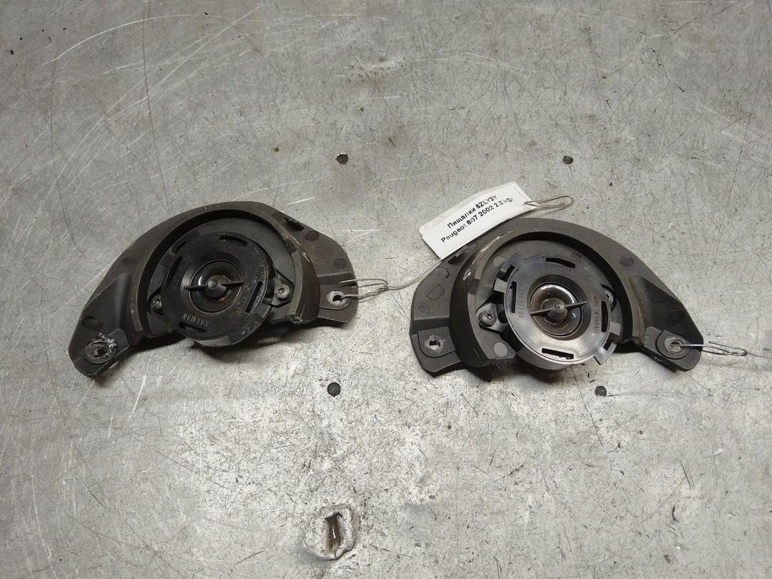 Пищалки 5ZLY2Y Peugeot 607