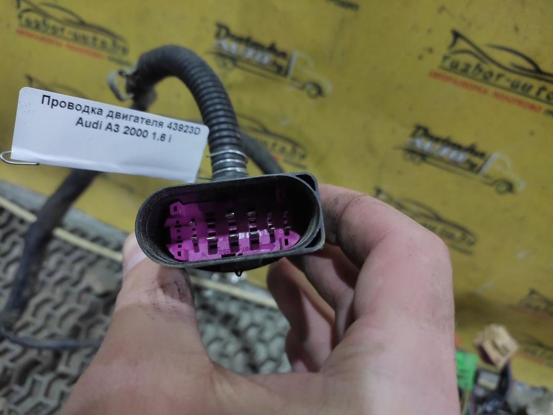 Проводка двигателя 43923D Audi A3 - Фото 1