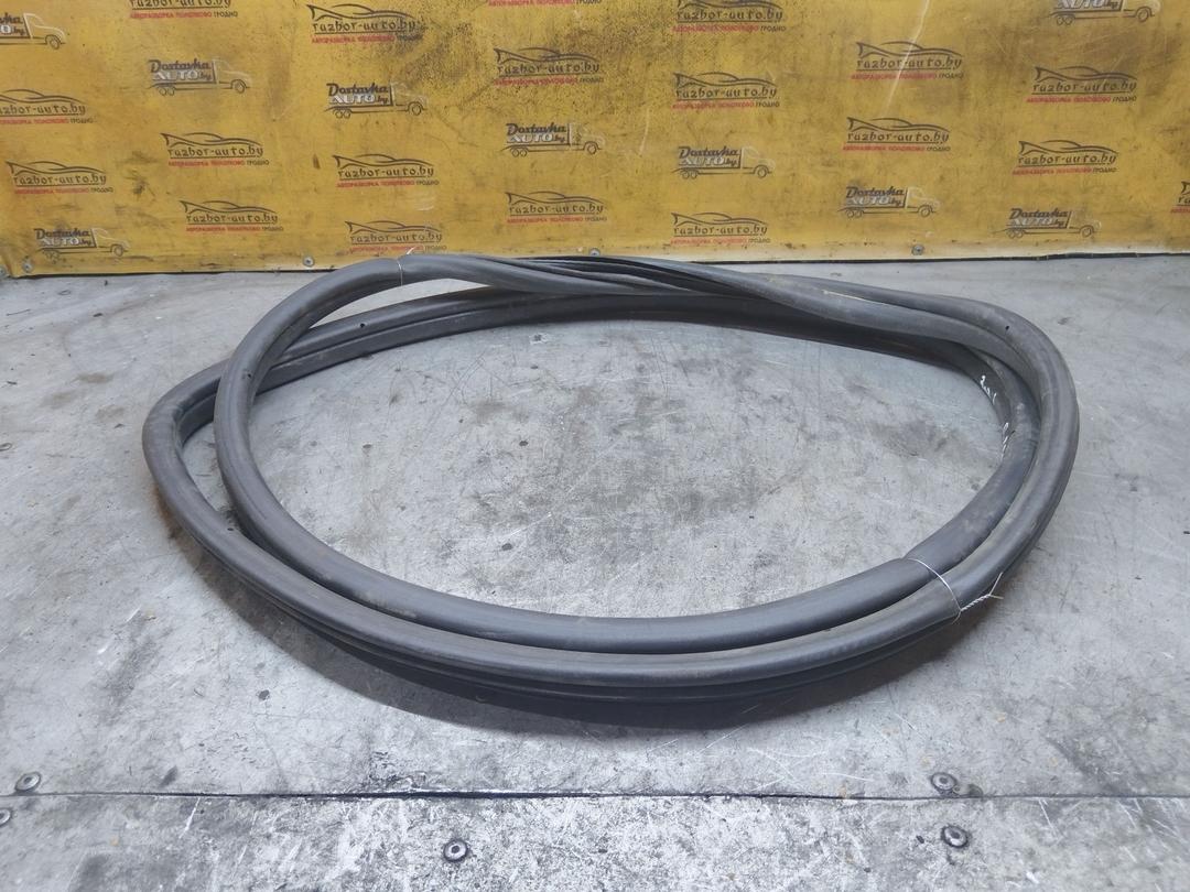 Уплотнитель двери задней правой DQQ4OX Peugeot 307 купить