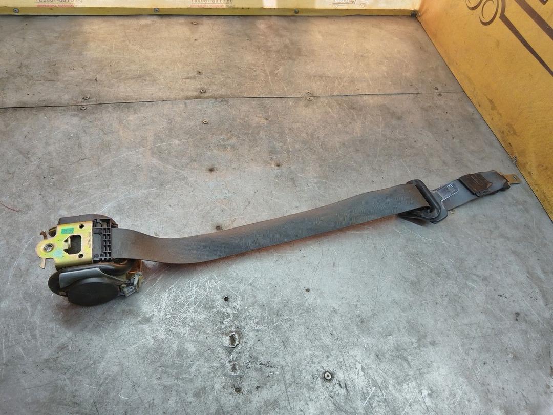 Ремень безопасности задний левый YXT6HW Renault Scenic купить