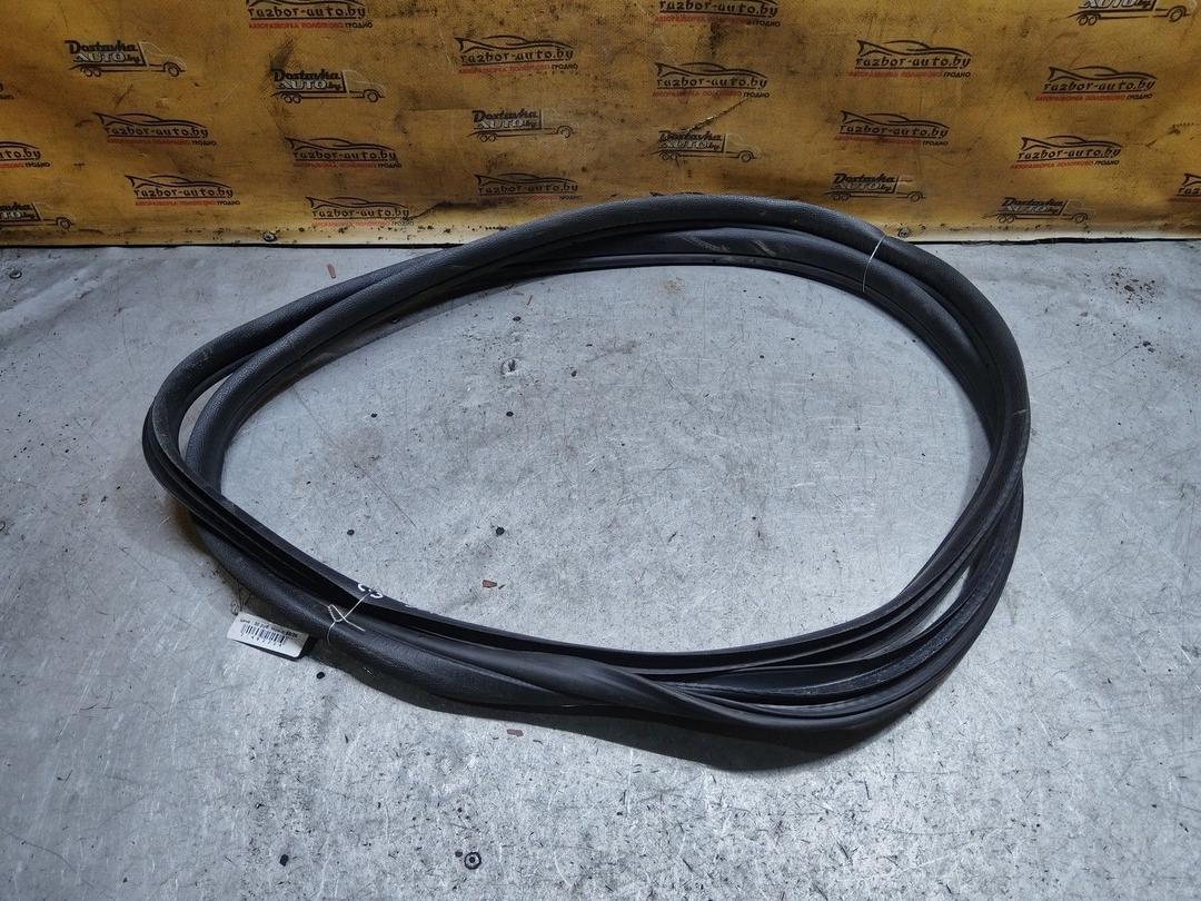 Уплотнитель двери передней левой AOUGC6 Citroen C3